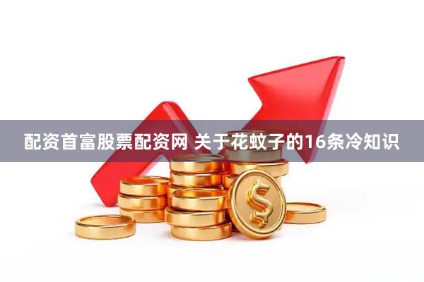 配资首富股票配资网 关于花蚊子的16条冷知识